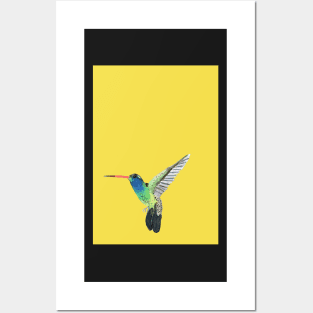 Hummingbird with Illuminating background Posters and Art